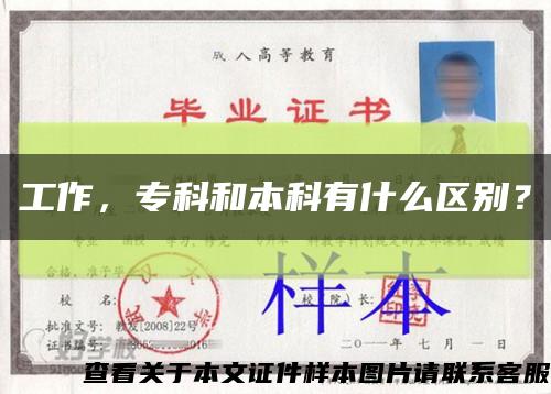 工作，专科和本科有什么区别？缩略图