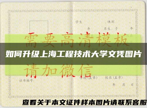 如何升级上海工程技术大学文凭图片缩略图