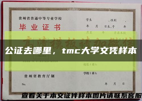 公证去哪里，tmc大学文凭样本缩略图
