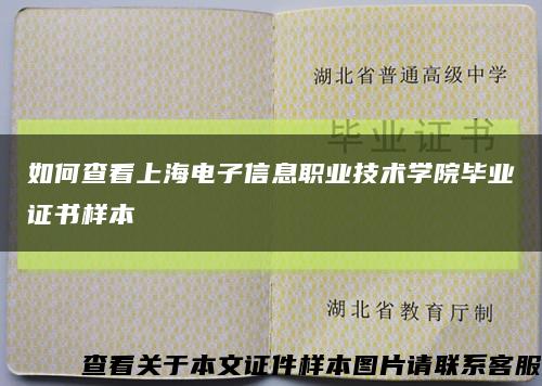 如何查看上海电子信息职业技术学院毕业证书样本缩略图