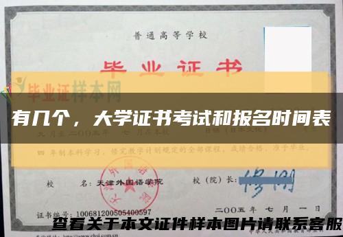 有几个，大学证书考试和报名时间表缩略图