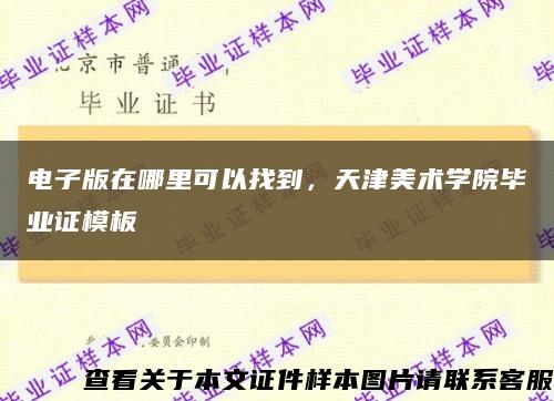 电子版在哪里可以找到，天津美术学院毕业证模板缩略图