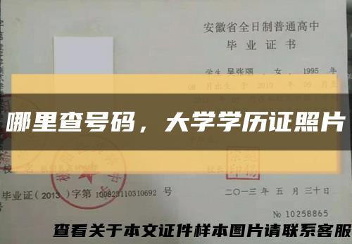 哪里查号码，大学学历证照片缩略图