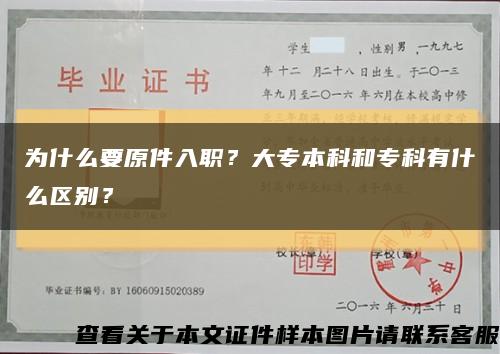为什么要原件入职？大专本科和专科有什么区别？缩略图