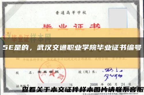 5E是的，武汉交通职业学院毕业证书编号缩略图