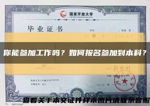 你能参加工作吗？如何报名参加到本科？缩略图