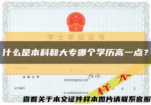 什么是本科和大专哪个学历高一点？缩略图
