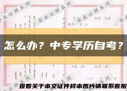 怎么办？中专学历自考？缩略图