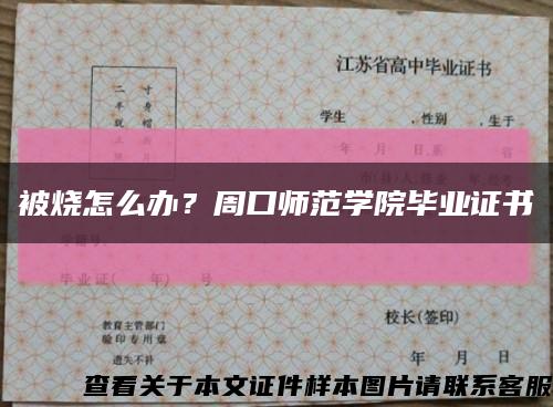 被烧怎么办？周口师范学院毕业证书缩略图