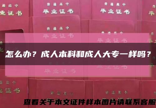 怎么办？成人本科和成人大专一样吗？缩略图
