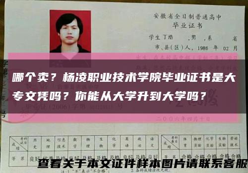 哪个卖？杨凌职业技术学院毕业证书是大专文凭吗？你能从大学升到大学吗？缩略图