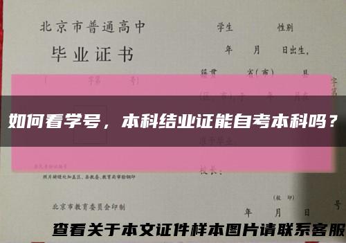 如何看学号，本科结业证能自考本科吗？缩略图