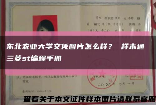 东北农业大学文凭图片怎么样？ 样本通 三菱st编程手册缩略图