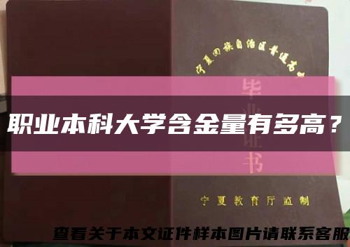 职业本科大学含金量有多高？缩略图
