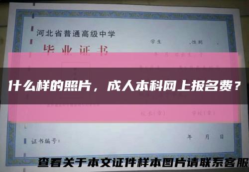 什么样的照片，成人本科网上报名费？缩略图