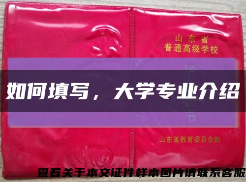如何填写，大学专业介绍缩略图