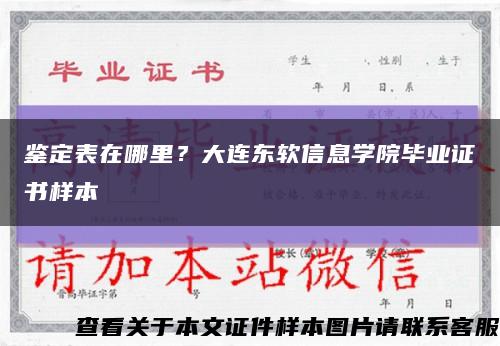 鉴定表在哪里？大连东软信息学院毕业证书样本缩略图