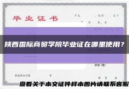 陕西国际商贸学院毕业证在哪里使用？缩略图