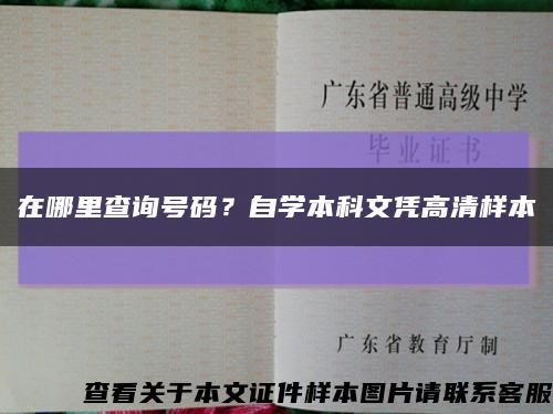 在哪里查询号码？自学本科文凭高清样本缩略图
