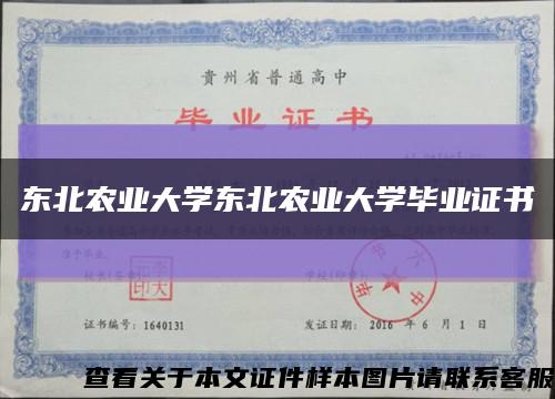 东北农业大学东北农业大学毕业证书缩略图