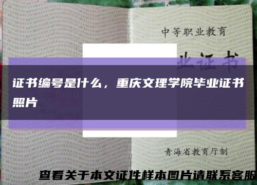 证书编号是什么，重庆文理学院毕业证书照片缩略图