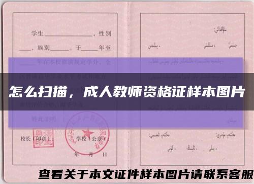 怎么扫描，成人教师资格证样本图片缩略图