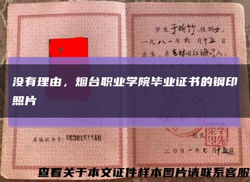 没有理由，烟台职业学院毕业证书的钢印照片缩略图