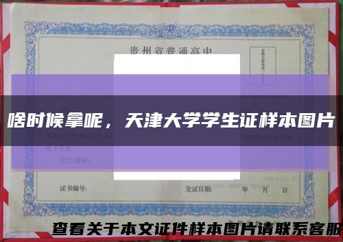 啥时候拿呢，天津大学学生证样本图片缩略图