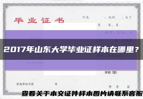 2017年山东大学毕业证样本在哪里？缩略图