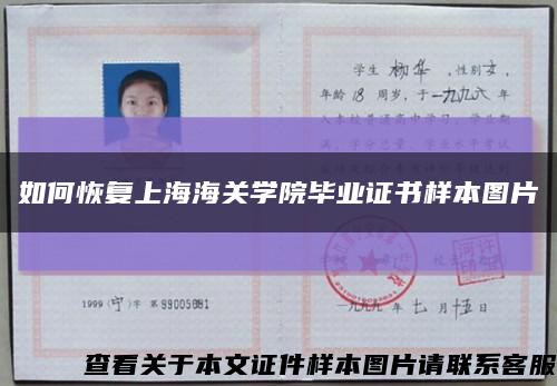如何恢复上海海关学院毕业证书样本图片缩略图