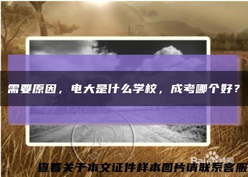 需要原因，电大是什么学校，成考哪个好？缩略图