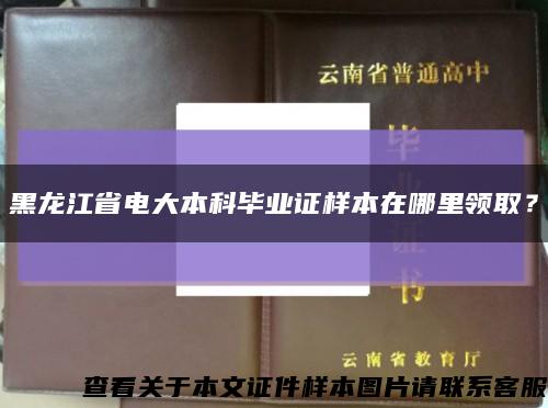 黑龙江省电大本科毕业证样本在哪里领取？缩略图