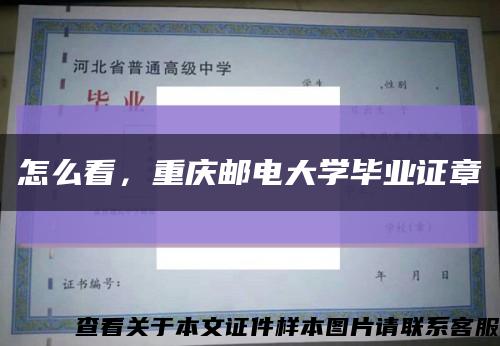 怎么看，重庆邮电大学毕业证章缩略图