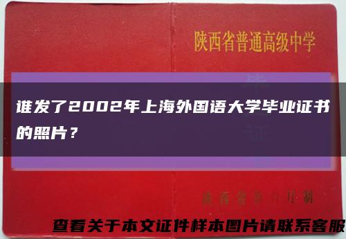 谁发了2002年上海外国语大学毕业证书的照片？缩略图