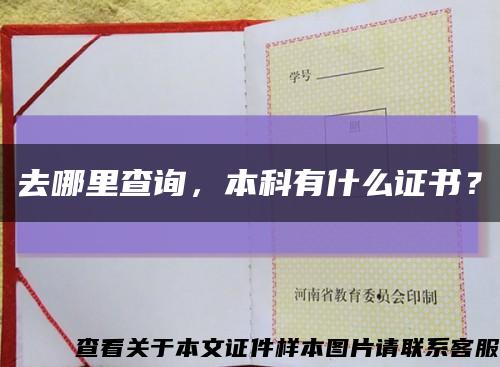 去哪里查询，本科有什么证书？缩略图