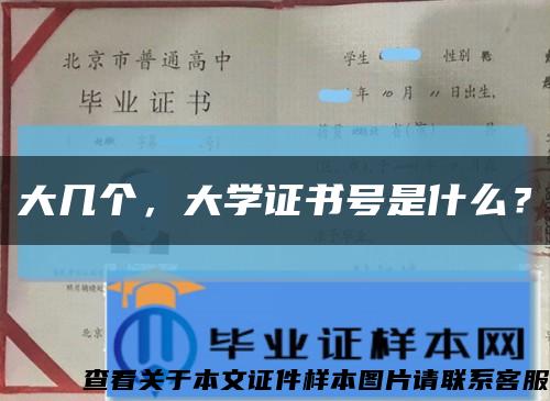 大几个，大学证书号是什么？缩略图