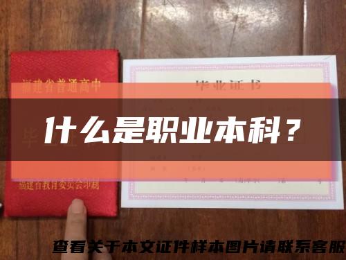 什么是职业本科？缩略图
