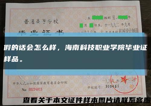 假的话会怎么样，海南科技职业学院毕业证样品。缩略图