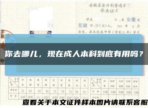 你去哪儿，现在成人本科到底有用吗？缩略图