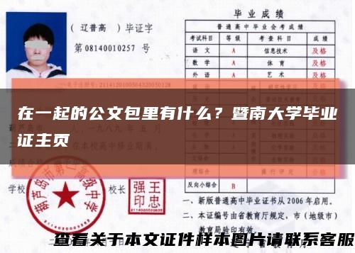 在一起的公文包里有什么？暨南大学毕业证主页缩略图