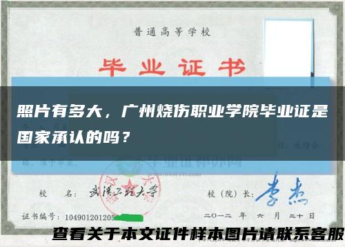 照片有多大，广州烧伤职业学院毕业证是国家承认的吗？缩略图