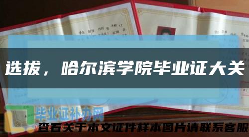 选拔，哈尔滨学院毕业证大关缩略图