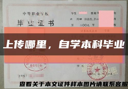 上传哪里，自学本科毕业缩略图