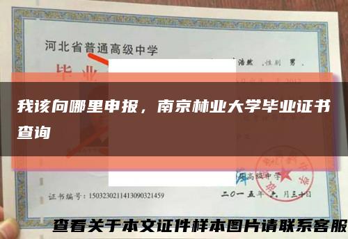 我该向哪里申报，南京林业大学毕业证书查询缩略图