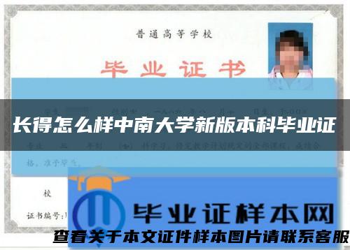 长得怎么样中南大学新版本科毕业证缩略图