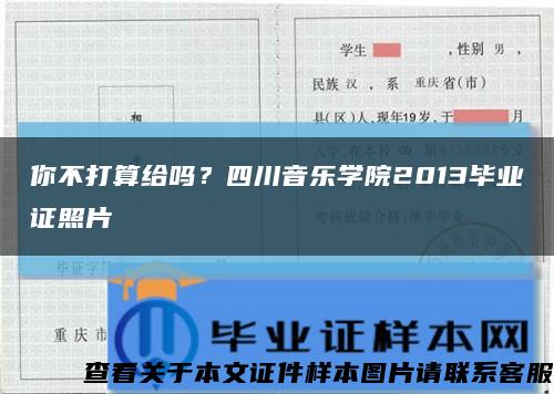 你不打算给吗？四川音乐学院2013毕业证照片缩略图