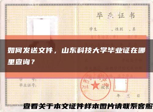 如何发送文件，山东科技大学毕业证在哪里查询？缩略图