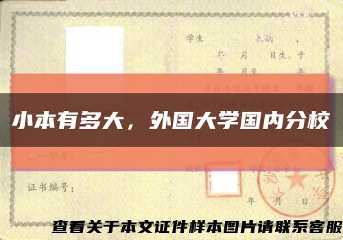 小本有多大，外国大学国内分校缩略图