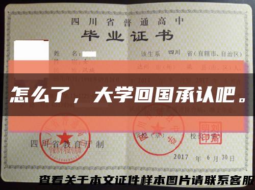 怎么了，大学回国承认吧。缩略图