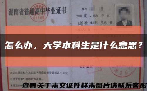 怎么办，大学本科生是什么意思？缩略图